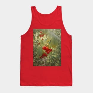 viburnum berries Tank Top